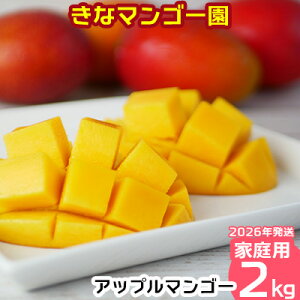 yӂ邳Ɣ[Łz2026Nyȃ}S[zAbv}S[@ƒp2kgȏ s\ n }S[ Abv 썑  t[c  ʕ ʎ s\ Yn ґ Z XC