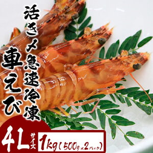 yӂ邳Ɣ[ŁzY}ⓀԂсy4LTCYz@1kgi500g×2pbNj hg Ă VՂ tC }Ⓚ Gr Nx  {B uԗⓀ bk CY ܂  CN 