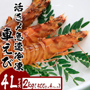yӂ邳Ɣ[ŁzY}ⓀԂсy4LTCYz@2kgi500g×4pbNj hg Ă VՂ tC }Ⓚ Gr Nx  {B uԗⓀ bk CY ܂  CN 