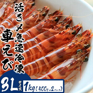 yӂ邳Ɣ[ŁzY}ⓀԂсy3LTCYz@1kgi500g×2pbNj hg Ă VՂ tC }Ⓚ Gr Nx  {B uԗⓀ bk CY ܂  CN 