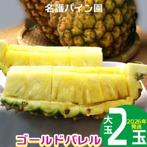 �y�ӂ邳�Ɣ[�Łz2026�N�����y����p�C�����z�@�S�[���h�o�����i���2�ʁj ��s�\��@ �p�C���A�b�v�� �p�C�i�b�v�� ���Ԍ��� ���ʌ��� �t���[�c �������� �ʕ� ���� ���蕨 �v���[���g �l