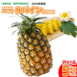 yӂ邳Ɣ[Łzs󂠂it2026Nyn@_ƋznYNpC(N67-10)5kg 󂠂i n  Y pCibv NpC nC ς N67-10  n 