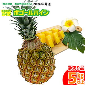 yӂ邳Ɣ[Łzs󂠂it2026Nyn@_ƋznY{S[pC5kg pCibv 󂠂i  킯 pCAbv ς t[c fU[g  