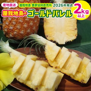 yӂ邳Ɣ[Łz2026Nyn@_ƋzñS[ho@2kgȏ n  _ pCibv pC ς Y   n Mtg v[g 