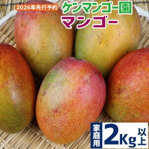 yӂ邳Ɣ[Łzy2026NzyP}S[z@ƒp}S[@2kgȏ n }S[ Abv 썑  t[c  ʕ ʎ s\ Yn ґ Z XC[c fU[