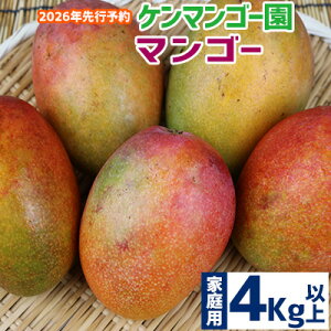 yӂ邳Ɣ[Łzy2026NzyP}S[z@ƒp}S[@4kgȏ n }S[ Abv 썑  t[c  ʕ ʎ s\ Yn ґ Z XC[c fU[