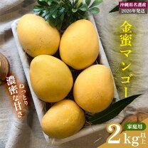 楽天市場】金 蜜 マンゴーの通販