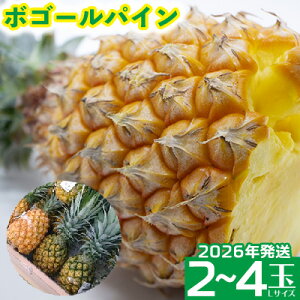 �y�ӂ邳�Ɣ[�Łz2026�N�����y�H�n�̉w�z�{�S�[���p�C��2�`4�� 2.4kg�ȏ� ���� �����Ȃ� ���Y ���Y ������ �l�C ������� �M�t�g �������� ���܂� ���� ���y�Y �H�ו� �ʕ� ���� ���΂� 