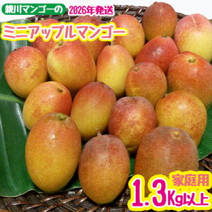 �y�ӂ邳�Ɣ[�Łz�y2026�N�����z�e��}���S�[�̃~�j�A�b�v���}���S�[�@�ƒ�p�@1.3kg�ȏ� �A�b�v�� �}���S�[ �� �① �������� �l�C �X�C�[�c �f�U�[�g �ʎ� �ʕ� �t���[�c �썑 ���� ������