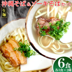 【ふるさと納税】沖縄そば＆ソーキそばセット 6食分（3袋入り×2箱） 沖縄そば ソーキ そば 生麺 生めん 三枚肉そば 沖縄料理 郷土料理 お土産 かつお 豚肉 道の駅 味付け豚肉 三枚肉 豚骨 とんこつ ソウルフード 本場 6食 人気