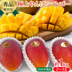 yӂ邳Ɣ[Łz2026Nypzɏ΂}S[1kgyGiz n }S[ s\ ①  ƒ p XC[c X[W[ v t[cW[X Y t[c ʕ 