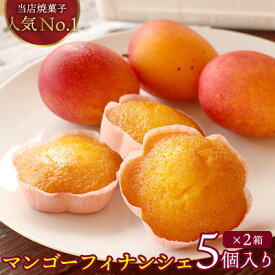 【ふるさと納税】マンゴーフィナンシェ10個（5個入り×2箱） 完熟 マンゴー フィナンシェ 焼菓子 おかし 人気 菓子 花型 可愛い ごま油 美味しい ヘルシー スイーツ 贈り物 ギフト ケーキ屋 専門店 お土産 おみやげ プレゼント