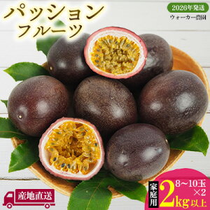 yӂ邳Ɣ[Łz2026Nys\zƒppbVt[c 2kgȏyEH[J[_z pbV t[c  ʎ ʕ Y   XC[c fU[g Yn 