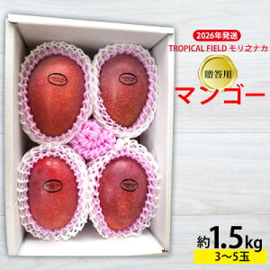 �y�ӂ邳�Ɣ[�Łz2026�N�����yTROPICAL FIELD �����V�i�J�z�����p�}���S�[��1.5kg�i3�`5�ʁj �t���[�c �ʕ� ���Ԍ��� ���ʌ��� ��s�\�� �썑 �v���[���g ���y�Y ���݂₰ �M�t�g �������� ���� ��