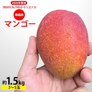 �y�ӂ邳�Ɣ[�Łz2026�N�����yTROPICAL FIELD �����V�i�J�z�ƒ�p�}���S�[��1.5kg�i3�`5�ʁj �t���[�c �ʕ� ���Ԍ��� ���ʌ��� ��s�\�� �썑 �v���[���g ���y�Y ���݂₰ �M�t�g �������� ���� ��