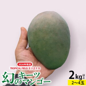 yӂ邳Ɣ[Łz2026NyTROPICAL FIELD ViJz̃L[c}S[@2kgȏ t[c  ʕ Ԍ ʌ s\ v~A 썑 v[g yY Mtg   