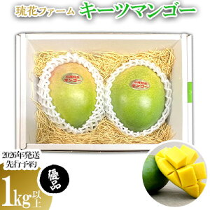 【ふるさと納税】【2026年発送先行予約】キーツマンゴー優品1kg以上 沖縄 おきなわ まんごー 優品 家庭用 先行予約 ふるさと納税 送料無料 甘味 糖度 おいしい お土産 キーツ 果物 くだもの