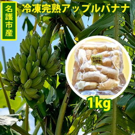 【ふるさと納税】名護市産　冷凍完熟アップルバナナ1kg 名護市 なご ばなな 冷凍 食物繊維 手軽 アイス デザート アレンジ 真空パック 食べやすい おやつ 新鮮 完熟 一口サイズ 甘味 栄養満点 ヨーグルト スムージー パンケーキ
