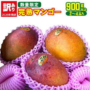 yӂ邳Ɣ[Łzy2026Nzy󂠂izIn}S[900gȏi2`4ʁj A }S[ ܂񂲁[ ʕ  ʎ   ꌧY Yn A[EB lC 