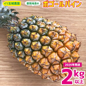 yӂ邳Ɣ[Łz2026Nuñ{S[pCv2kgȏyn@Cʏ_z  n {S[ pCibv ς Y s Ȃ 2L  n ӂ邳Ɣ[