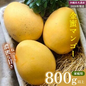 yӂ邳Ɣ[Łzy2026N s\ ʌz}S[ ƒp 800gȏ ƒp s\  Ö x Z  yY ܂񂲁[ ݂ Mtg v[g ʎ  ʕ 