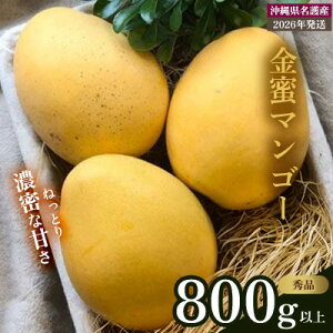 yӂ邳Ɣ[Łzy2026N s\ ʌz}S[DɐHׂĂ炢I}S[ Gi800gȏ Gi s\  Ö x Z  yY ܂񂲁[ ݂ Mtg 