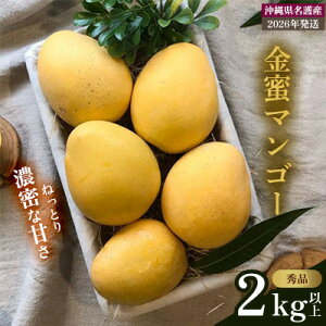 yӂ邳Ɣ[Łzy2026N s\ ʌz}S[DɐHׂĂ炢I}S[ Gi 2kgȏ Gi s\  Ö x Z  yY ܂񂲁[ ݂ Mtg 