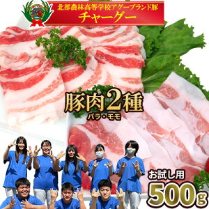 yӂ邳Ɣ[Łz`\O[2Hה500gi250g×2Pj  `[O[ AO[ uh | W[V[ wV[ ꗿ Ԃ Xe[L [XJc o  ؓ lC Z