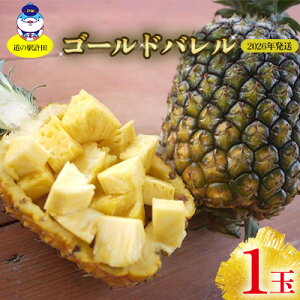 yӂ邳Ɣ[Łz2026NỷwczS[ho1ʁ@s\ pCibv pCAbv pC t[c ʕ ʎ  XC[c s\ Yn  yY 