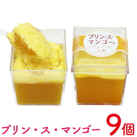 【ふるさと納税】プリン・ス・マンゴー　1箱(9個セット) おきぽた プリン マンゴー スイーツ 専門店 贅沢プリン トロピカルプリン マンゴープリン 濃厚 新食感 絶品 ロングランセラー 人気 おすすめ 沖縄 お土産 プレゼント 贈り物 ギフト お取り寄せ