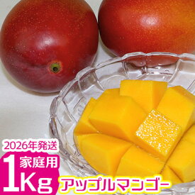 【ふるさと納税】【2026年発送】　ご家庭で美味しく！アップルマンゴー約1kg【つは農園】 フルーツ 果物 期間限定 数量限定 先行予約 南国 プレゼント お土産 おみやげ ギフト くだもの 季節 おきなわ 青果 デザート おすすめ 人気 冷蔵 夏 スイーツ