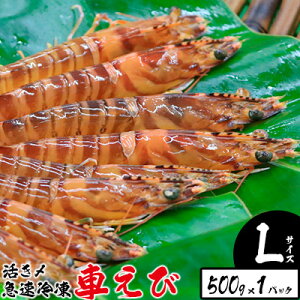 yӂ邳Ɣ[ŁzY}ⓀԂсyLTCYz@500g×1pbN hg Ă VՂ tC }Ⓚ Gr Nx  {B uԗⓀ bk CY ܂ ܂ CV CN 