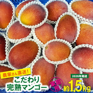 �y�ӂ邳�Ɣ[�Łz�y2026�N������s�\��z�������̃A�b�v���}���S�[�@�ƒ�p1.5kg�@�ӂ邢���� ���ʌ��� ����s ���� �t���[�c �������� �ʕ� �썑 �X�C�[�c �f�U�[�g �l�C �������� �M�t�g 