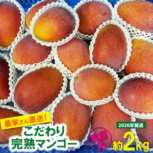 yӂ邳Ɣ[Łzy2026Ns\z̃Abv}S[@ƒp2kg@ӂ邢 ʌ s  t[c  ʕ 썑 XC[c fU[g lC  Mtg 