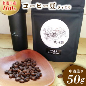 �y�ӂ邳�Ɣ[�Łz����s�Y100���R�[�q�[���i�e�B�s�J�j�@�������@50g ���ꌧ�Y ����s �R�[�q�[ �R�[�q�[�� �e�B�s�J ������� �������� �������� ���� 100���R�[�q�[�� �l�C ������ �v