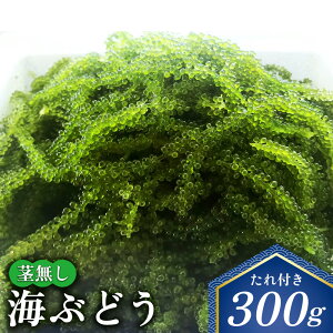 �y�ӂ邳�Ɣ[�Łz�s�����C�Ԃǂ��@300g�i����t���j ���ꌧ�Y ����s �C�Ԃǂ� �C�u�h�E ���݂Ԃǂ� �s���� �s�Ȃ� ����t�� �N�x���Q �C�� �C�N ���܂� �v�`�v�` �퉷 ������ �l�C ��