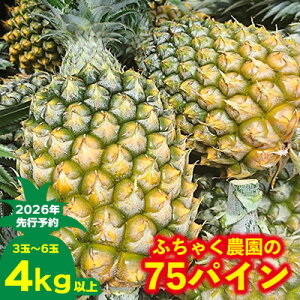 �y�ӂ邳�Ɣ[�Łz�y2026�N��s�\��z�ӂ��Ⴍ�_����75�p�C��4kg�ȏ� �p�C�� �p�C�i�b�v�� �p�C���A�b�v�� �X�i�b�N�p�C�� ���ꌧ�Y�p�C�� �t���[�c �썑�t���[�c �g���s�J���t���[�c ����t