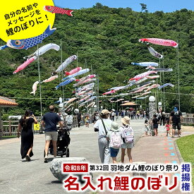 【ふるさと納税】令和8年　第32回「羽地ダム鯉のぼり祭り」名入れ鯉のぼり掲揚権 こいのぼり こどもの日 お祝い 羽地ダム 鯉のぼり 祭り イベント 家族 ファミリー 記念 思い出 沖縄県 名護市 おすすめ オススメ