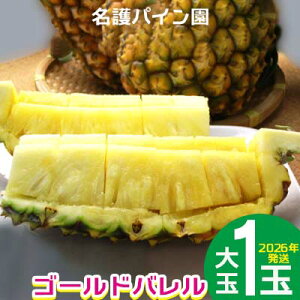 �y�ӂ邳�Ɣ[�Łz2026�N�����y����p�C�����z�@�S�[���h�o�����i���1�ʁj ��s�\��@ �p�C���A�b�v�� �p�C�i�b�v�� ���Ԍ��� ���ʌ��� �t���[�c �������� �ʕ� ���� ���蕨 �v���[���g �l