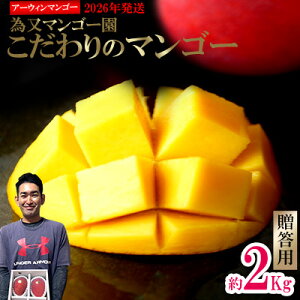 【ふるさと納税】【2026年発送】為又マンゴー園 贈答用 こだわりのマンゴー 約2kg フルーツ 果物 期間限定 数量限定 マンゴー 南国 プレゼント お土産 おみやげ ギフト くだもの 沖縄 お