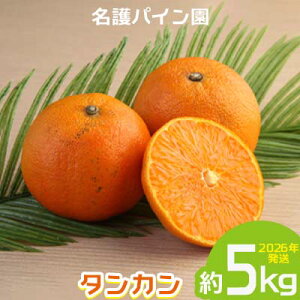 �y�ӂ邳�Ɣ[�Łz2026�N�����y����p�C�����z�@�^���J����5kg ��s�\�� �t���[�c �� ���Ԍ��� �N�� ���ʌ��� �݂��� ���k ���� �����Ȃ� �ʎ� �M�t�g ���蕨 �q�� �f�U�[�g ���� �{ �l�C