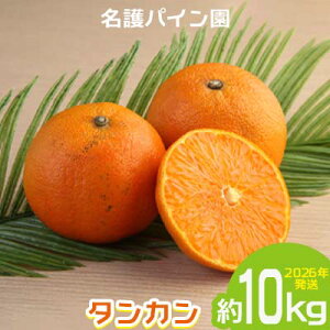 �y�ӂ邳�Ɣ[�Łz2026�N�����y����p�C�����z�@�^���J����10kg ��s�\�� �t���[�c �� ���Ԍ��� �N�� ���ʌ��� �݂��� ���k ���� �����Ȃ� �ʎ� �M�t�g ���蕨 �q�� �f�U�[�g ���� �{ �l