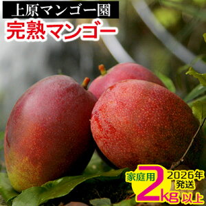 yӂ邳Ɣ[Łz2026N _ƒy㌴}S[zƒpn}S[@2kgȏ@s\ n }S[ Abv 썑  t[c  ʕ ʎ s\ Yn ґ Z