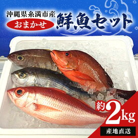 【ふるさと納税】【 産地直送 】【漁師まちの鮮魚店厳選】おまかせ 鮮魚 セット(約 2kg ) お魚 魚 詰め合わせ 下処理済み (内臓・ウロコ除去済み) 急速冷凍 真空パック 沖縄 鮮魚セット 詰合せ 鮮魚店 厳選 お任せ 鮮度 産直 海鮮 加熱用 冷凍保存 沖縄県 糸満市 送料無料