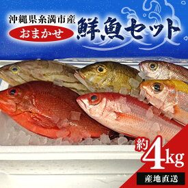 【ふるさと納税】【産地直送】【漁師まちの鮮魚店厳選】おまかせ鮮魚セット(約4kg)