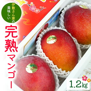 yӂ邳Ɣ[Łzy s\ 2026N  z ɕ~Ƃ̔ n}S[ 1.2kg ( p ) }S[ ꌧY }S[ Abv}S[ A[EB}S[ ʕ 썑  t