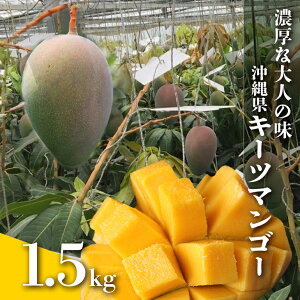 yӂ邳Ɣ[Łzy s\ 2026N  z Zȑl̖ ꌧu L[c}S[ v1.5kg ꌧY }S[ 1.5L ΐF  Y ʕ 썑  t[c  { Yi  