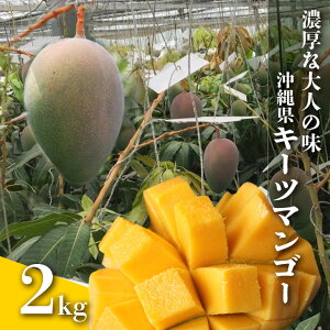 yӂ邳Ɣ[Łzy s\ 2026N  z Zȑl̖ ꌧu L[c}S[ v2kg ꌧY }S[ 2L ΐF  Y ʕ 썑  t[c  { Yi  