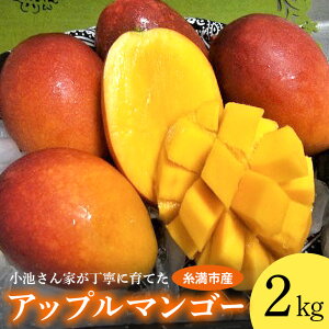 【ふるさと納税】【2026年発送】 小池さん家が丁寧に育てた アップルマンゴー 2kg 沖縄県産 マンゴー アーウィンマンゴー 2キロ 国産 完熟マンゴー 果物 南国 くだもの フルーツ 完熟 夏 旬 沖