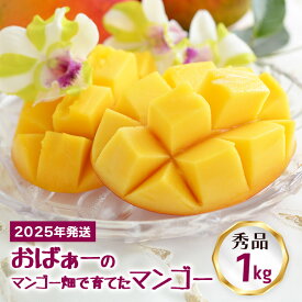 【ふるさと納税】【 先行予約 2026年 発送 】 おばぁーのマンゴー畑で育てた マンゴー 1kg ( 秀品 ) 沖縄県産 アップルマンゴー アーウィンマンゴー 1キロ 国産 完熟マンゴー 果物 くだもの フルーツ 完熟 夏 旬 沖縄 お取り寄せ 産地直送 農家直送 甘い 糸満市 送料無料